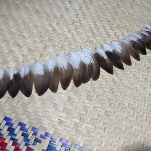 20 plumas pequeñas de águila dorada/real, 9-7 centímetros