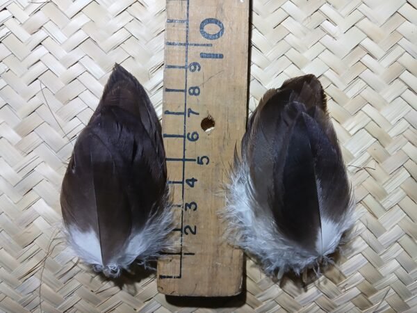 20 small golden/royal eagle feathers, 9-7 centimeters