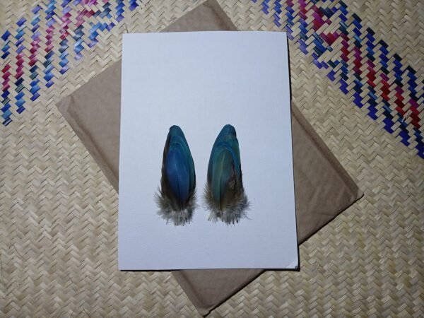 14 Plumas azules pequeñas de guacamaya, 13-10 centimetros. - Imagen 4